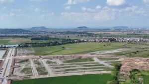 Tiến độ thực tế